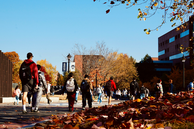 大学のキャンバス風景